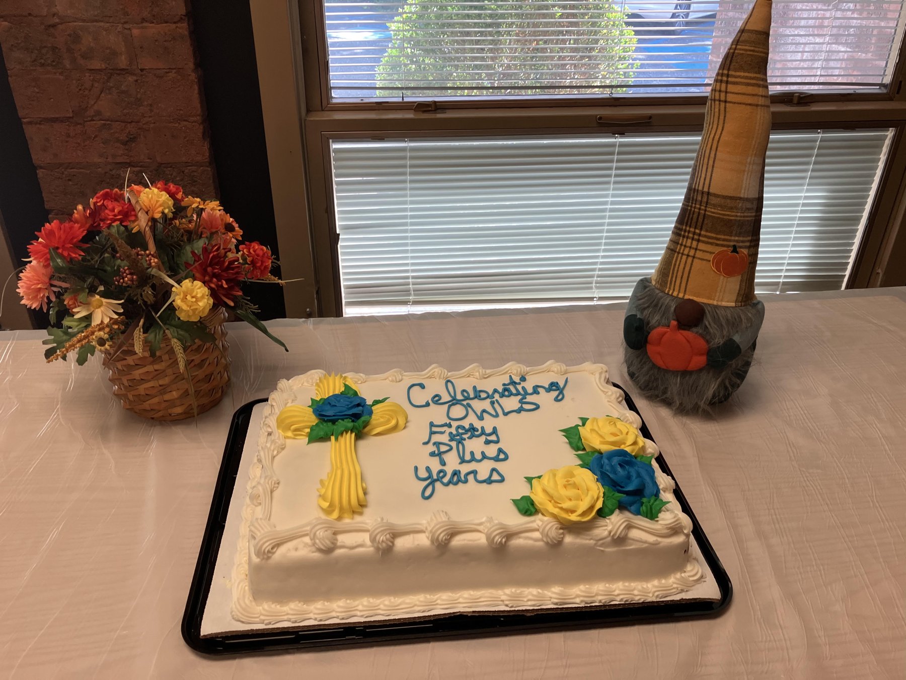 OWLS 50+ celebration cake